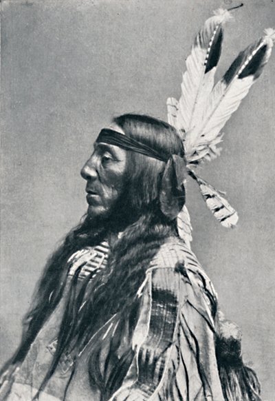 1912 में एक Sioux का प्रोफ़ाइल दृश्य द्वारा रॉबर्ट विल्सन शुफ़ल्ड