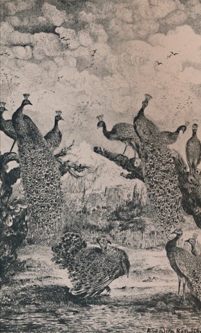 मोर, 1869, 1946 द्वारा रोडोलफे ब्रेज़िन