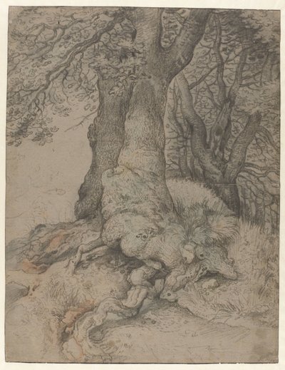 द्वारा Roelant Savery