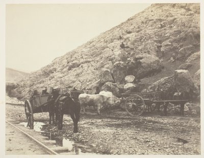 मवेशी और गाड़ियाँ, 1855 में बालाक्लाव को छोड़कर। द्वारा रोजर फेंटन