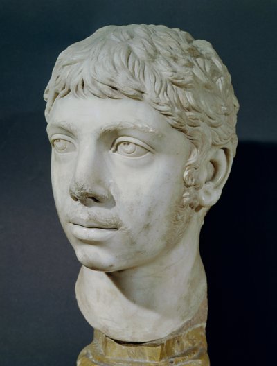 हेलिओगाबलस का वक्ष (204-222) द्वारा Roman