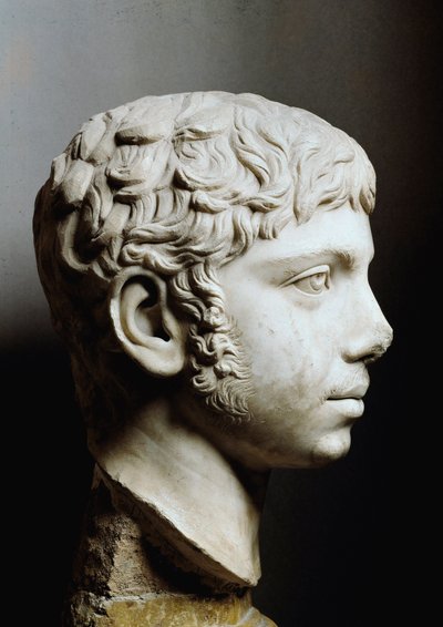 Elagabal या Heliogabale (मार्कस Antoninus या Elagabalus) (204-222 AD) का संगमरमर का सिर - रोम, कैपिटल संग्रहालय - रोमन सम्राट हैड्रियन का प्रमुख (204-222), जिसे Elagabalus (PF Avitus Bassianus) के रूप में भी जाना जाता है - संगमरमर की मूर्तिकला - संग्रहालय  द्वारा Roman