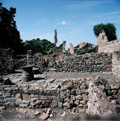 उजड़े हुए घरों का दृश्य द्वारा उपन्यास