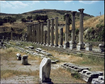 Asclepios के अभयारण्य का दृश्य (283 से 133 ईसा पूर्व) द्वारा उपन्यास
