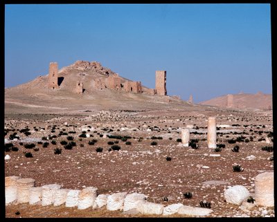 Iamblichus और Elahbel के टॉवर कब्रों का दृश्य (फोटोग्राफी) द्वारा उपन्यास