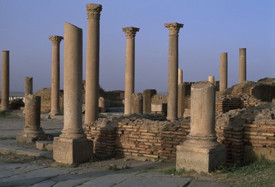 लाइब्रेरी का दृश्य, c.100 ईस्वी, उच्च शाही अवधि (27 ईसा पूर्व -395 ईस्वी) द्वारा रोमन इंपीरियल काल