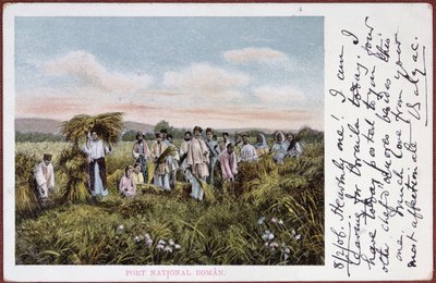 रोमानियाई किसानों को कटाई करते हुए पोस्टकार्ड, 1906 द्वारा रोमानियाई स्कूल