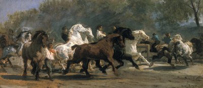हॉर्समार्केट के लिए अध्ययन, 1852-54 द्वारा Rosa Bonheur