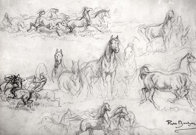 घोड़ों का अध्ययन द्वारा Rosa Bonheur
