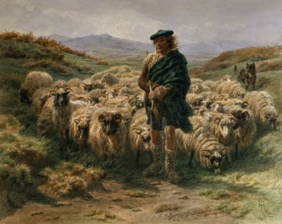 हाइलैंड शेफर्ड, जल रंग द्वारा Rosa Bonheur