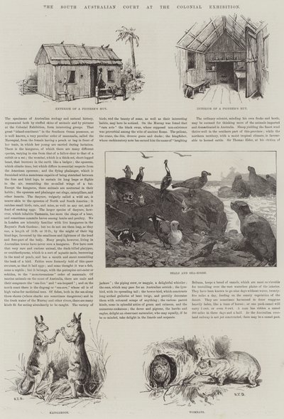 औपनिवेशिक प्रदर्शनी में दक्षिण ऑस्ट्रेलियाई न्यायालय द्वारा एसटी डैड