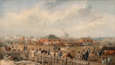 10 अगस्त, 1844 को एडिलेड छोड़कर स्टॉर्ट का ओवरलैंड अभियान द्वारा एसटी गिल