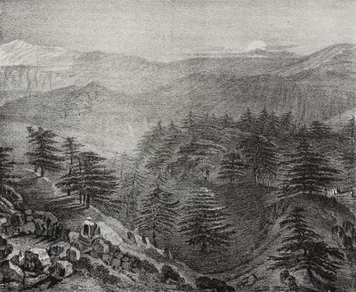  द्वारा सल्वातोर पुगलिया