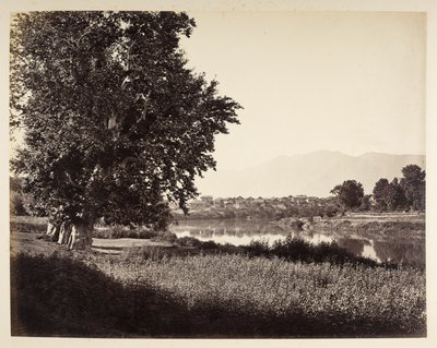  द्वारा सैमुअल बॉर्न