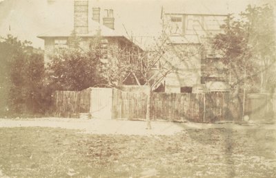 यार्ड में पेड़, 1850 के दशक। द्वारा सैमुअल बकले