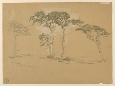 विंडब्लाऊन पाइंस, पैसिफ़िक ग्रोव। वर्सो: प्वाइंट सूर तक प्रशांत तट सड़क। द्वारा सैमुअल कॉलमैन