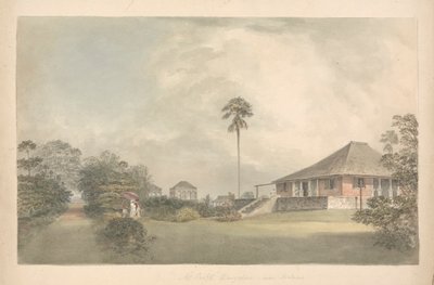  द्वारा सैमुअल डेविस