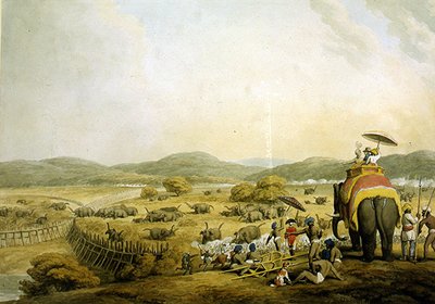 हाथियों को केद्दा में ले जाना (कागज पर पानी के रंग का) द्वारा सैमुअल हॉविट