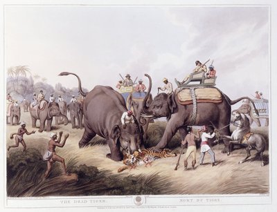 द डेड टाइगर; बाघ की मृत्यु, 1807 द्वारा सैमुअल हॉविट