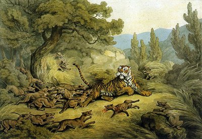 जंगली कुत्तों द्वारा शिकार किया गया बाघ (कागज पर पानी के रंग का) द्वारा सैमुअल हॉविट