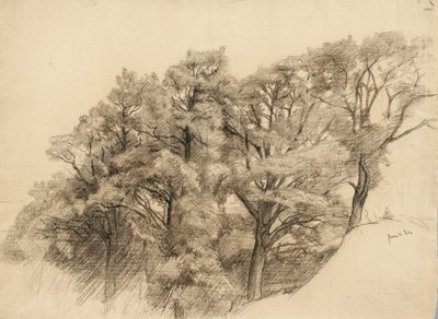 पेड़ों के साथ लैंडस्केप, 1884 (शौकीन कागज पर लकड़ी का कोयला) द्वारा शमूएल ईशम