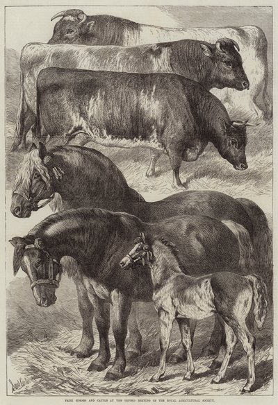 रॉयल एग्रीकल्चर सोसाइटी की ऑक्सफ़ोर्ड मीटिंग में हॉर्स एंड कैटल द्वारा सैमुअल जॉन कार्टर
