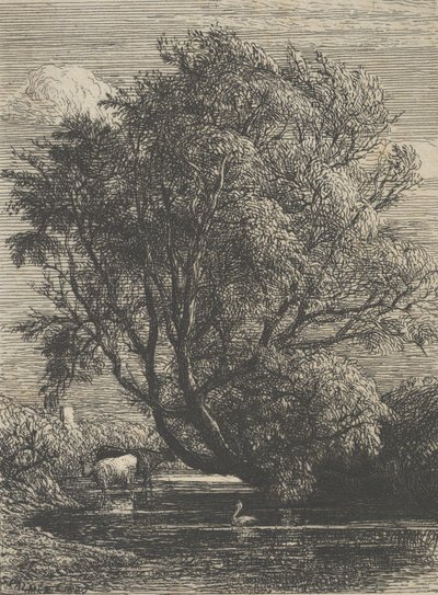 विलो, 1850। द्वारा सैमुअल पामर
