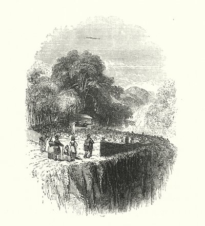  द्वारा सैमुअल विलियम्स