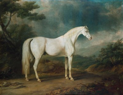 एक जंगली परिदृश्य में सफेद घोड़ा, 1791 द्वारा सव्रे गिलपिन