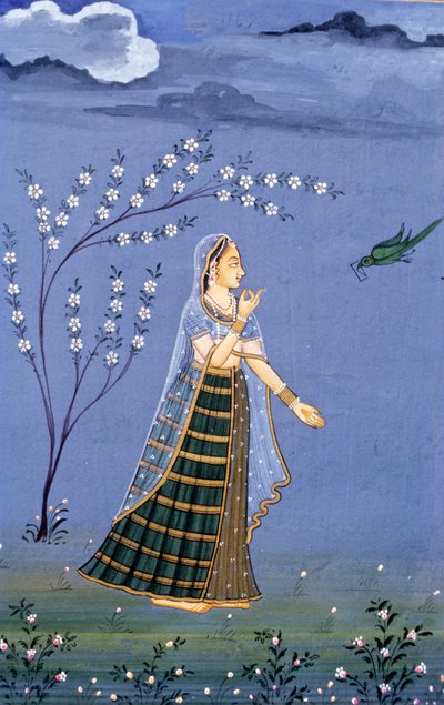 द्वारा स्कूल इंडियन