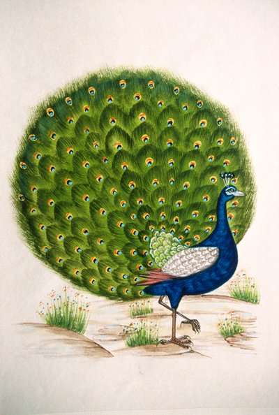  द्वारा स्कूल इंडियन