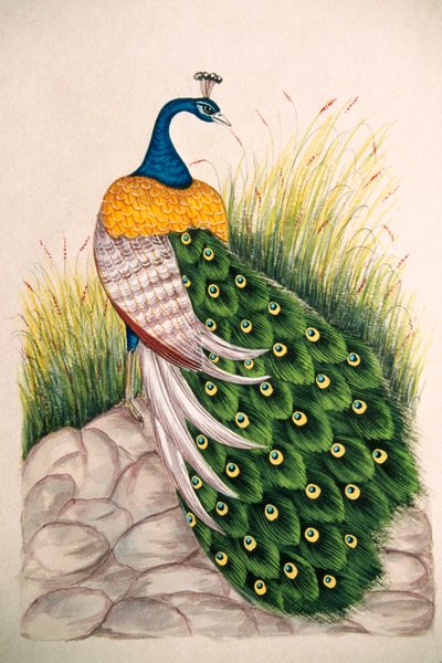  द्वारा स्कूल इंडियन