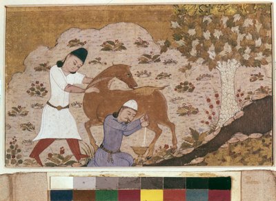  द्वारा स्कूल ईरानी