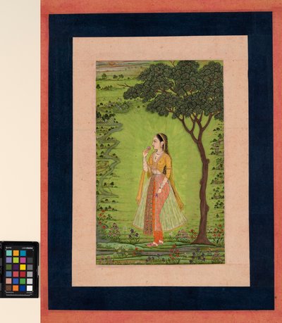 एक महिला एक पेड़ के पास खड़ी है, एक फूल पकड़े हुए, c.1720 (अपारदर्शी w - c और कागज पर सोना) द्वारा स्कूल मुगल