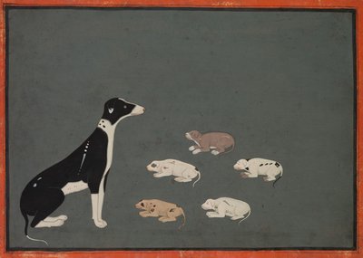  द्वारा स्कूल मुगल