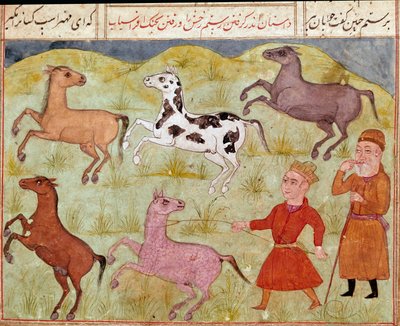 इस्लामी कला: एक स्वामी और उसका खेत का लड़का लसो में जंगली घोड़ों को पकड़ता है। फिरदौसी (फिरदौसी, या फिरदौसी, या फिरदौसी, सीए। 940-लगभग 1020) की महाकाव्य कविता "शाहनामा" (शाहनामा, शाहनामा) (राजाओं की पुस्तक) की पांडुलिपि से फ़ारसी लघुचित्र। बिब्लि द्वारा स्कूल फ़ारसी