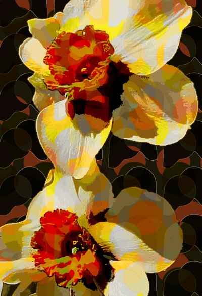 डैफोडिल (डिजिटल) द्वारा Scott J. Davis