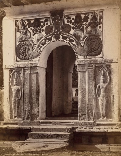  द्वारा Scowen and Co.