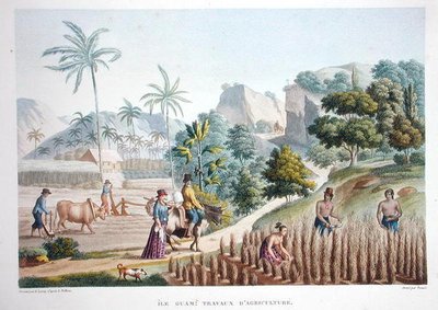फ़ार्म वर्कर्स, गुआम, फ़िलिपींस, 'वॉयेज ऑटोर डू मोंडे (1817-20)' से लुई क्लाउड डेसौल्स डी फ़्रीसिनेट (1779-1842) द्वारा पोमेल द्वारा उकेरा गया, 1822-24 (कलर लिथो) में प्रकाशित हुआ। द्वारा सेबेस्टियन (डी.1832) (बाद में) लेरॉय