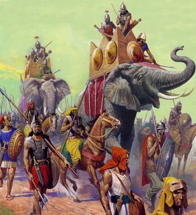  द्वारा सेवेरिनो बाराल्डी