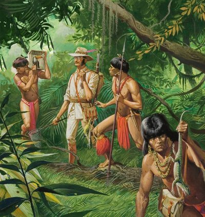  द्वारा सेवेरिनो बाराल्डी