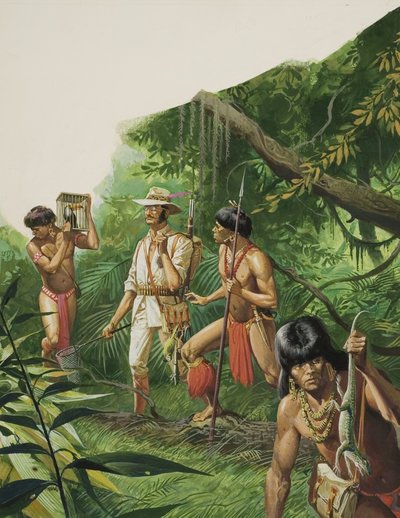  द्वारा सेवेरिनो बाराल्डी