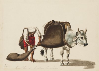 जल-वाहक, c1810 द्वारा सेवक राम