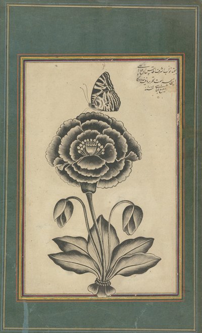  द्वारा शफी