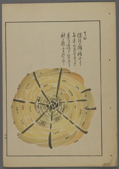 जापानी खिलौने, शिमिजू सेइफू द्वारा ऊना न तोमो (ए चिल्ड्स फ्रेंड्स) से, 1891-1923। रस्सी पिनव्हील। द्वारा शिमिज़ु सेफ़ु