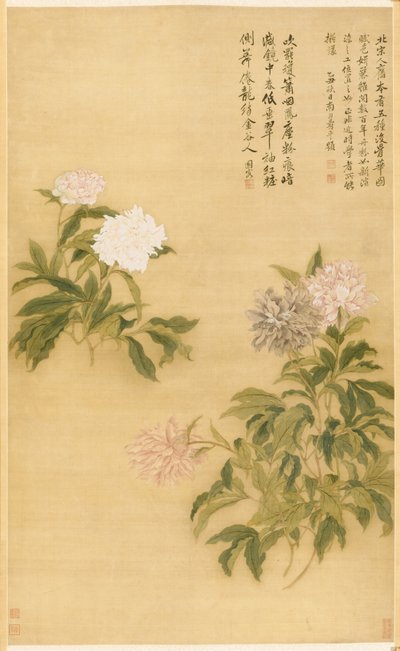 Peonies, हैंगिंग स्क्रॉल द्वारा चिल्लाना यूं