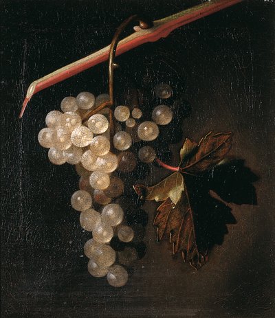 एक पत्थर की दीवार, 1709 से पहले अंगूर का एक गुच्छा द्वारा साइमन पेटरेज़ वर्लस्ट