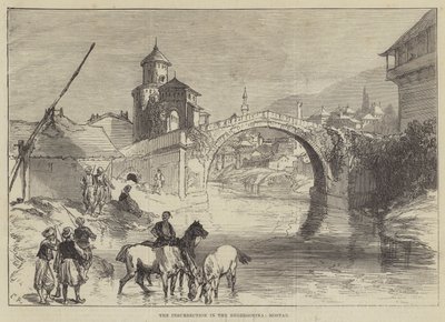 हर्ज़ेगोविना में बीमाकरण, मोस्टर द्वारा Sir John Charles Robinson