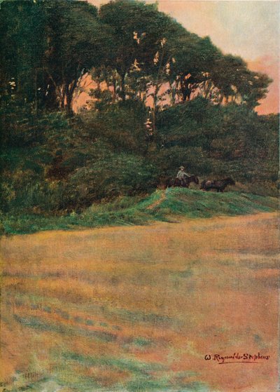 ए स्टडी, c1900 1903-1904 द्वारा सर विलियम रेनॉल्ड्स स्टीफेंस