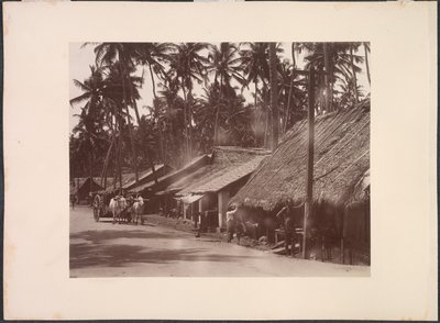  द्वारा Skeen and Co.